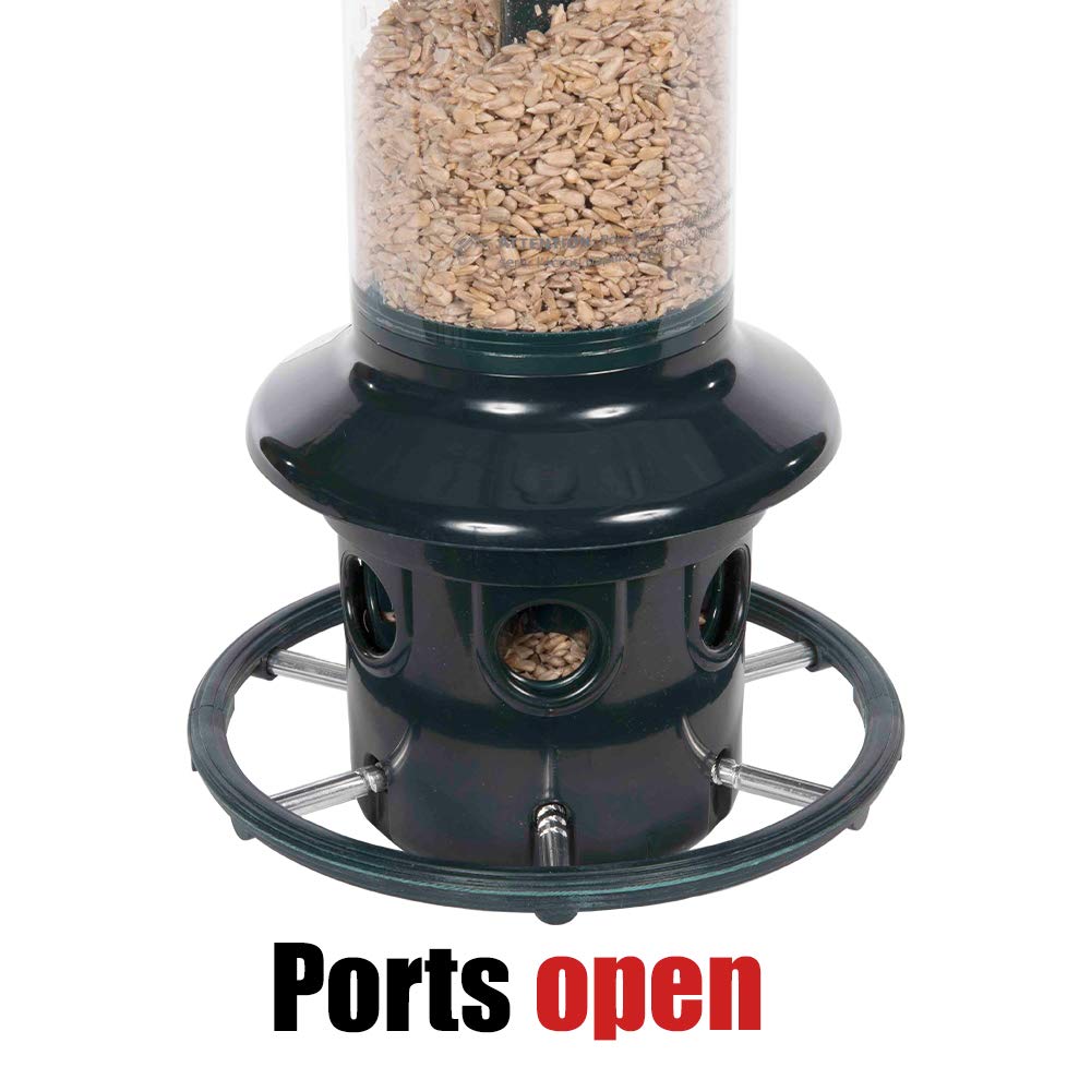 Squirrel Buster Plus Bird Feeder with 25-Pound Wagner Black Oil Sunflower Seeds - Squirrel Proof Bird Feeder for Outdoor Garden, Yard & Backyard Bird Watching