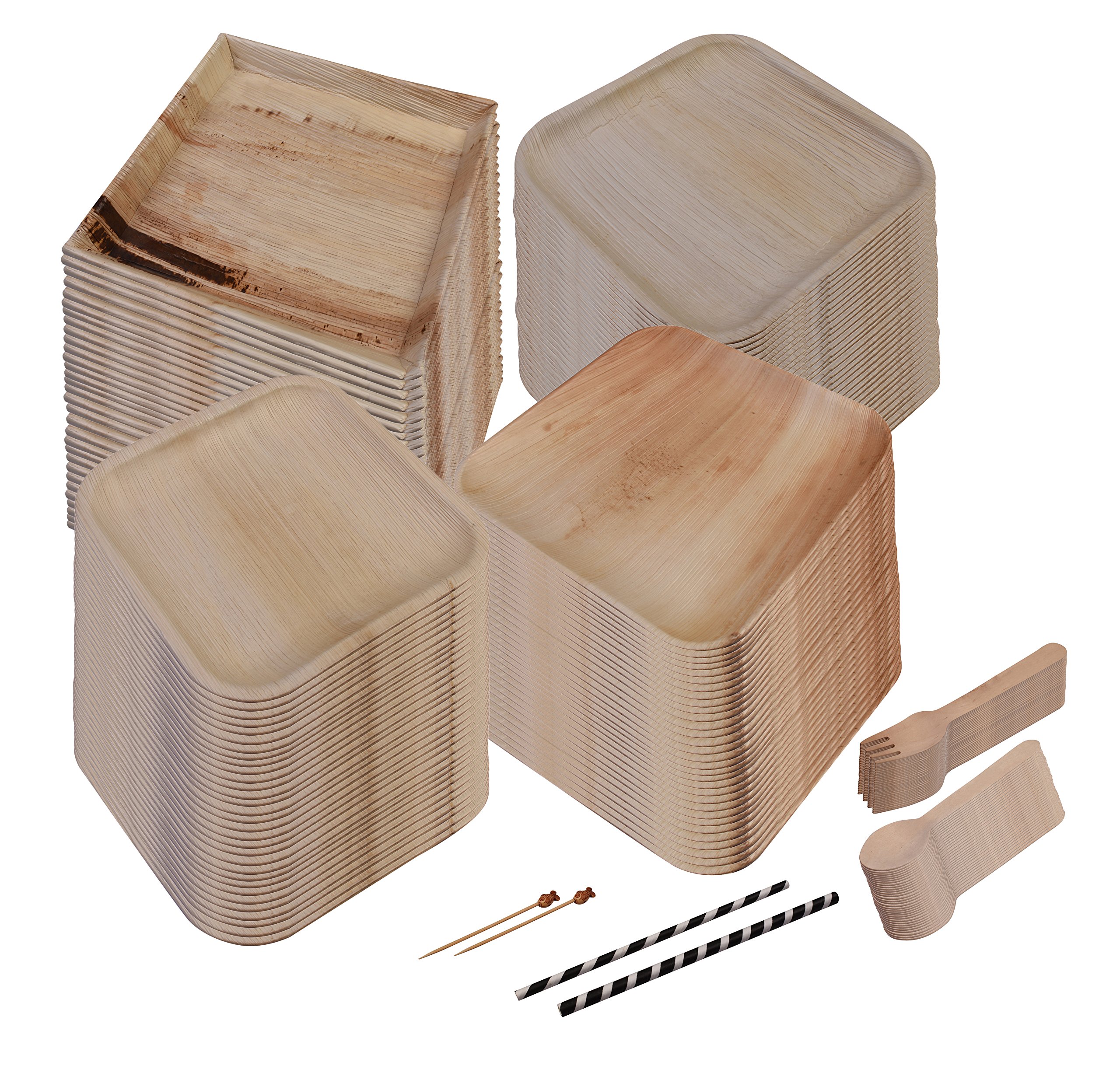 Eco-Friendly 100% Compostable Palm Leaf Plates Set - 25 Pcs Disposable Dinnerware for Parties, Picnics & Outdoor Events | Biodegradable & Sustainable Kitchen Accessories