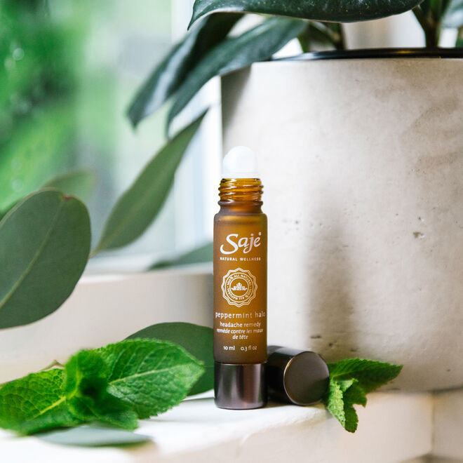 Best Sellers Roll On Bundle - Essential Oil Roller Set for Relaxation & Stress Relief - Perfect for Travel, Yoga, and Aromatherapy