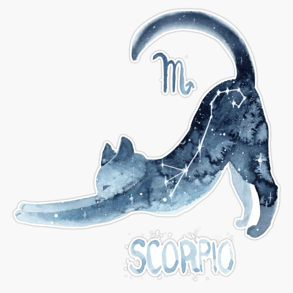 Leyland Designs Zodiac Cat - Scorpio Vinyl Sticker Decal | Durable 5