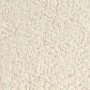 Capitola Ivory