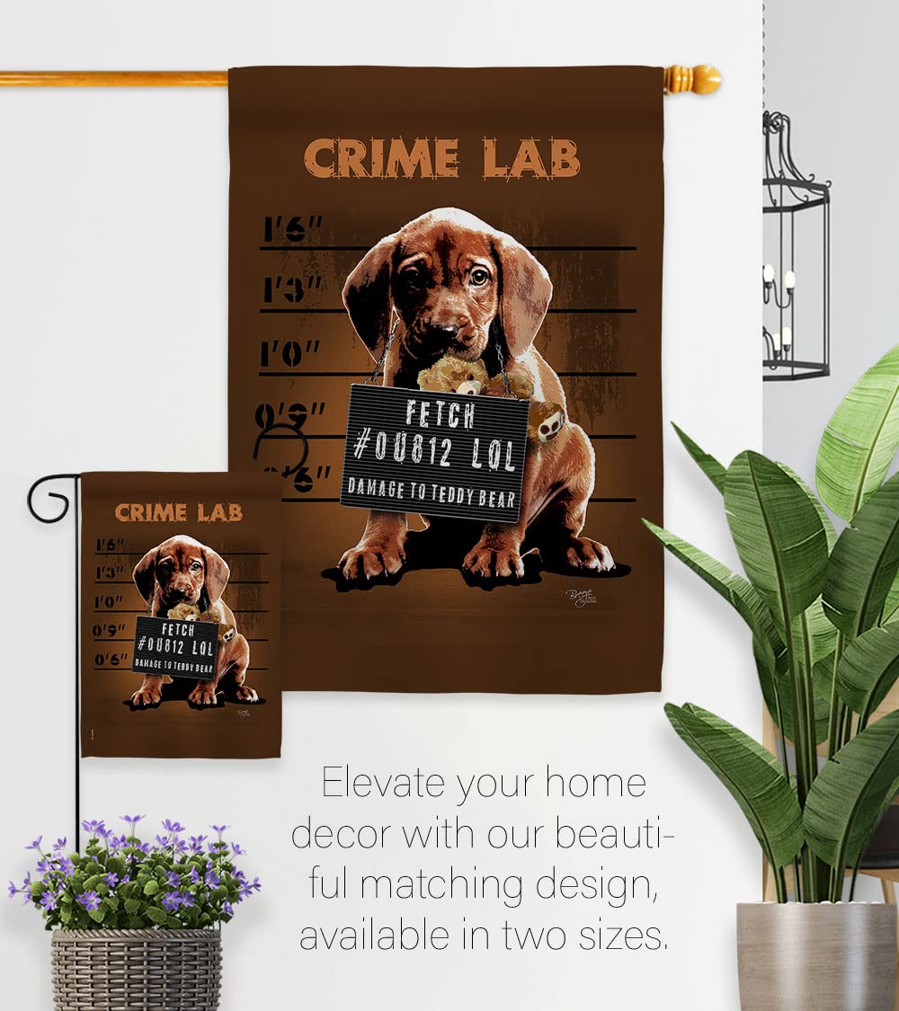 Crime Lab Nature Pets House Flag Set 28x40 with Flagpole - Outdoor Decor