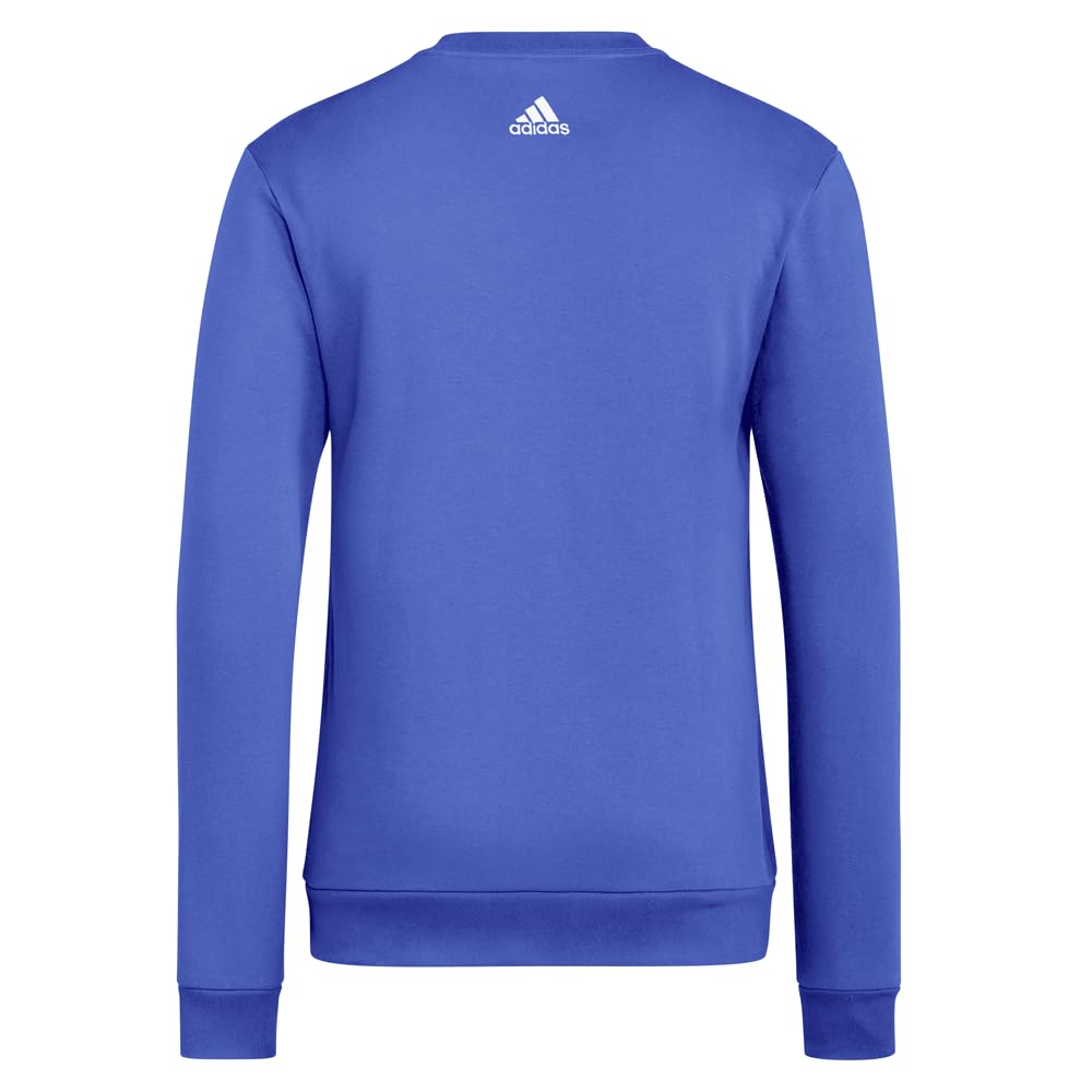 Adidas Men's Essentials Big Logo Fleece Sweatshirt - Comfortable Pullover Hoodie for Casual Wear, Gym & Street Style | Warm Winter Clothing for Men