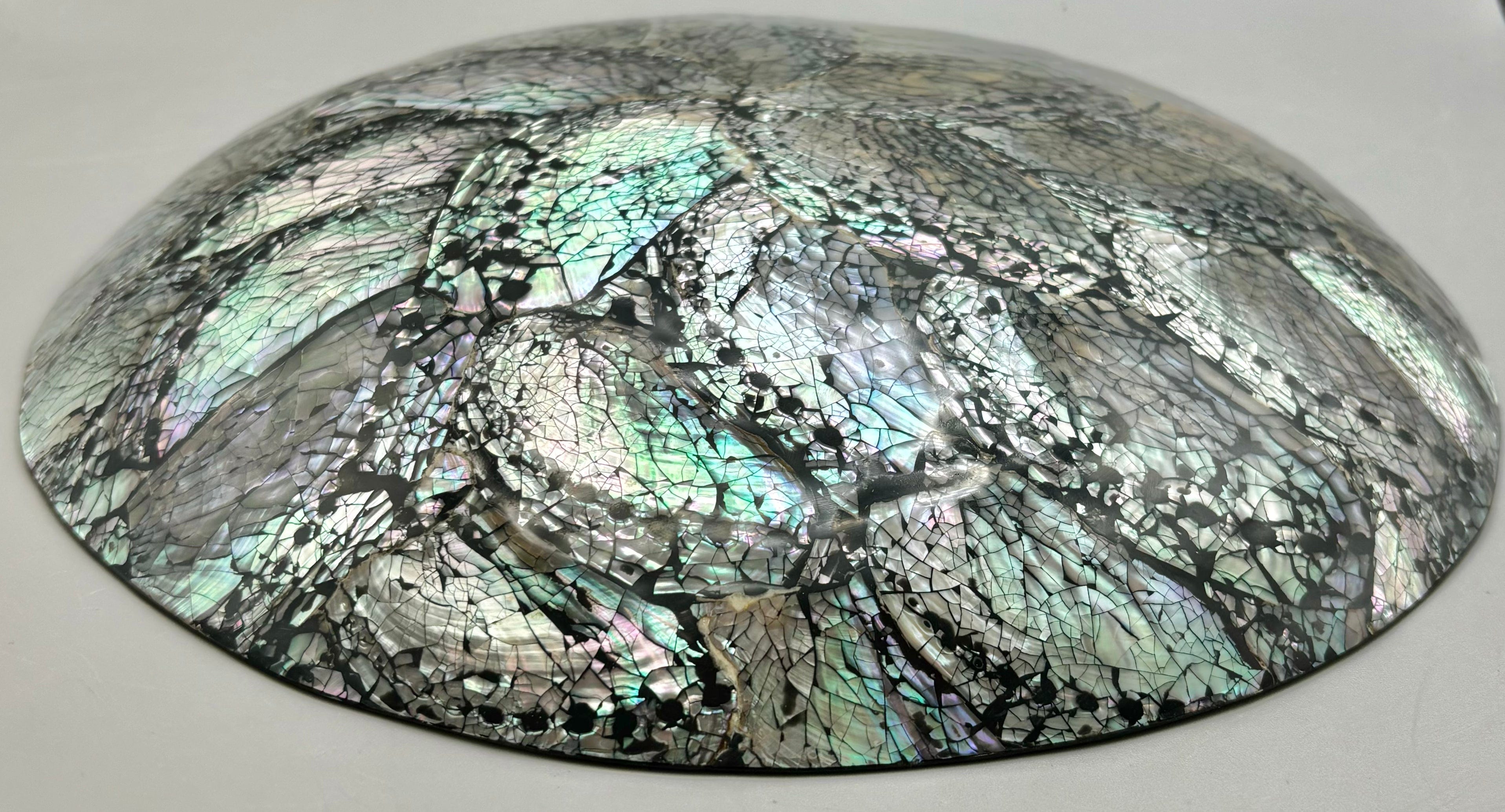 Premium Australian Abalone Shell Plate - Large Natural Seashell Serving Dish for Sushi, Seafood, Appetizers & Home Decor