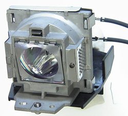ViewSonic PJ513 Replacement Projector Lamp Bulb & Housing - High Precision Compatible with ViewSonic Projectors | Ideal for Home Theater, Office Presentations & Classroom Projections