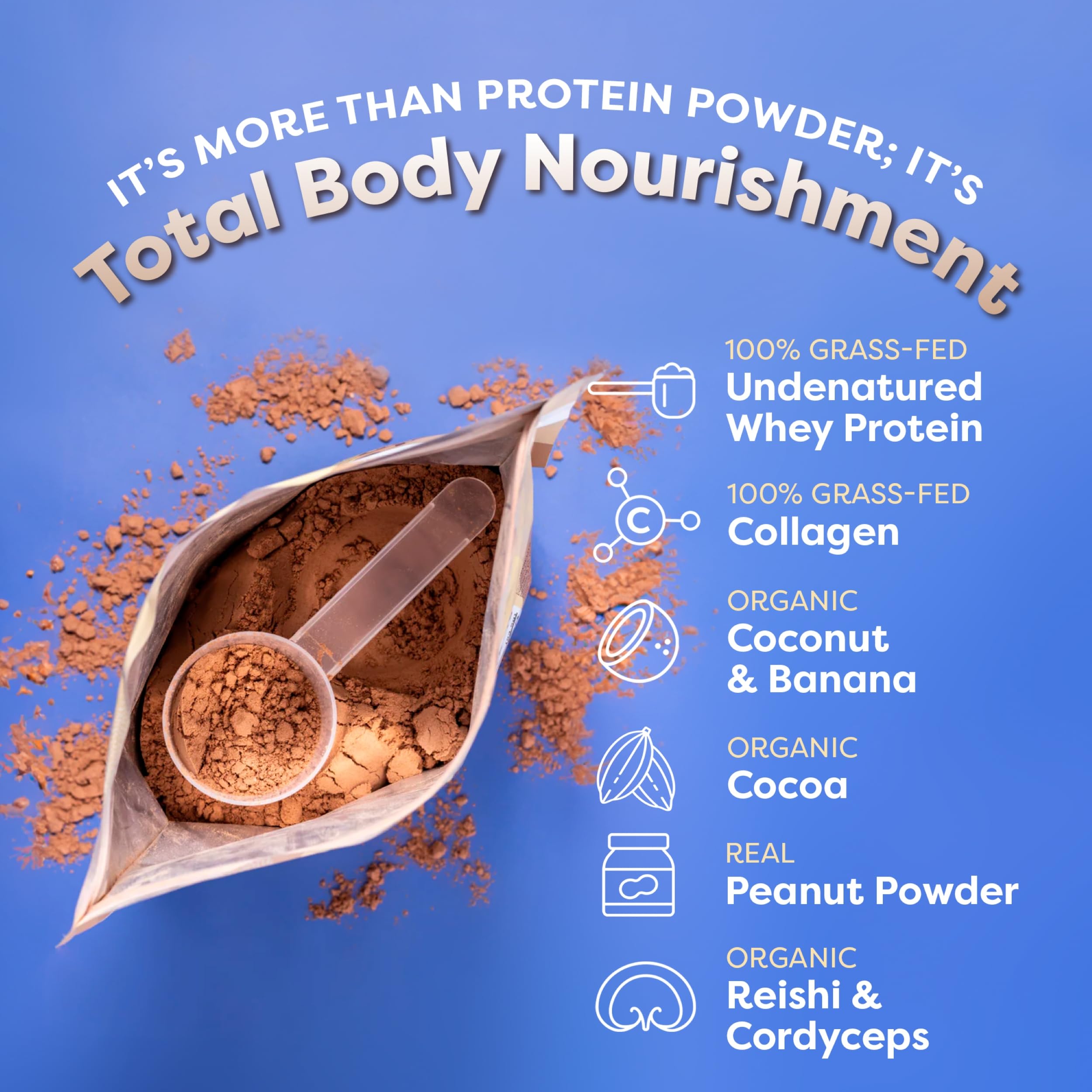 FlavCity Chocolate Peanut Butter Protein Powder Smoothie - 100% Grass-Fed Whey Protein with Collagen (25g Protein) | Gluten Free, No Added Sugars, 37.74 oz | Perfect for Post-Workout Recovery & Healthy Breakfast Smoothies