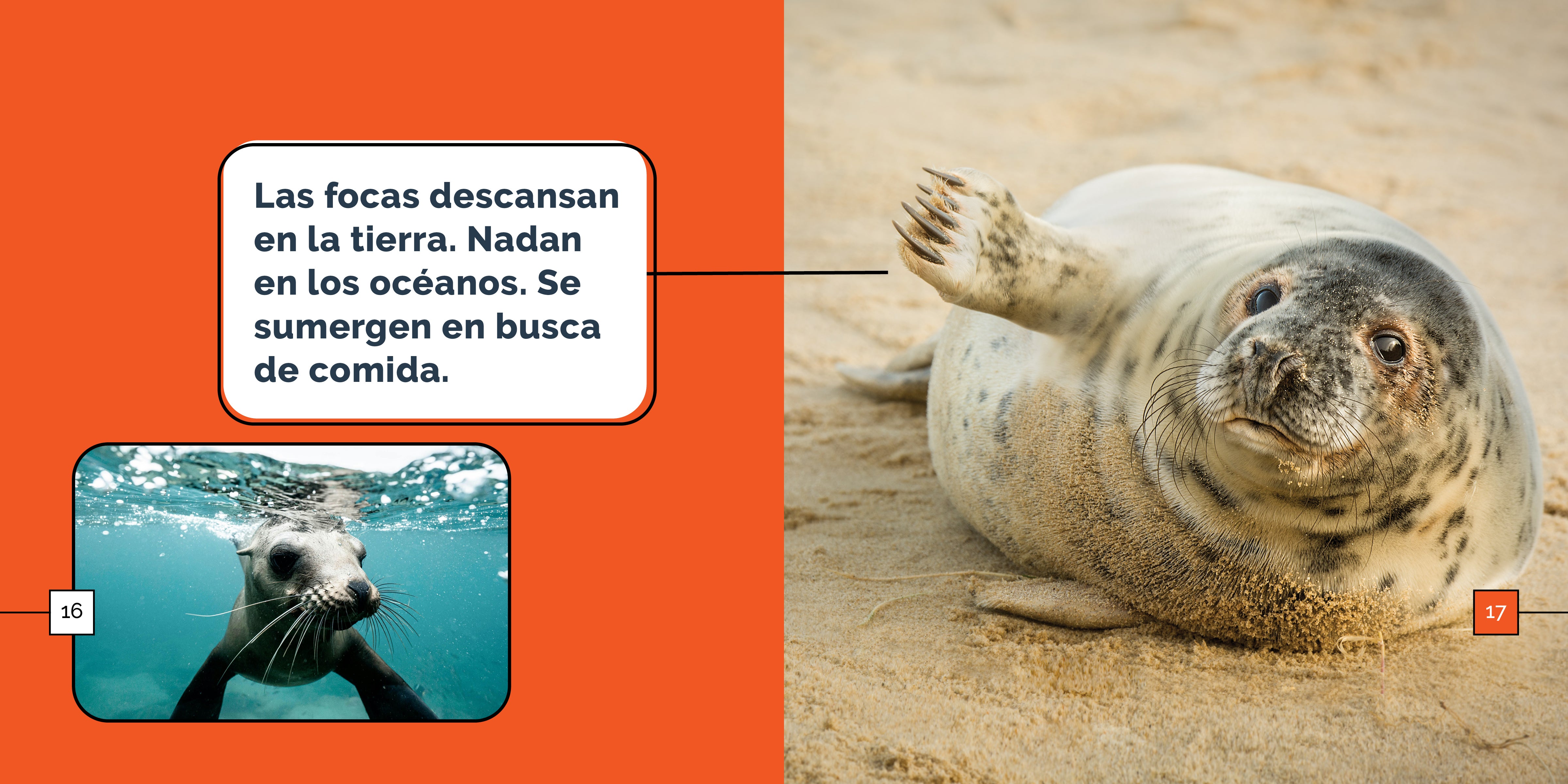 Adorable Seal Plush Toy - Soft & Cuddly Stuffed Animal for Kids & Collectors | Perfect for Gifts, Nursery Decor, and Ocean-Themed Parties