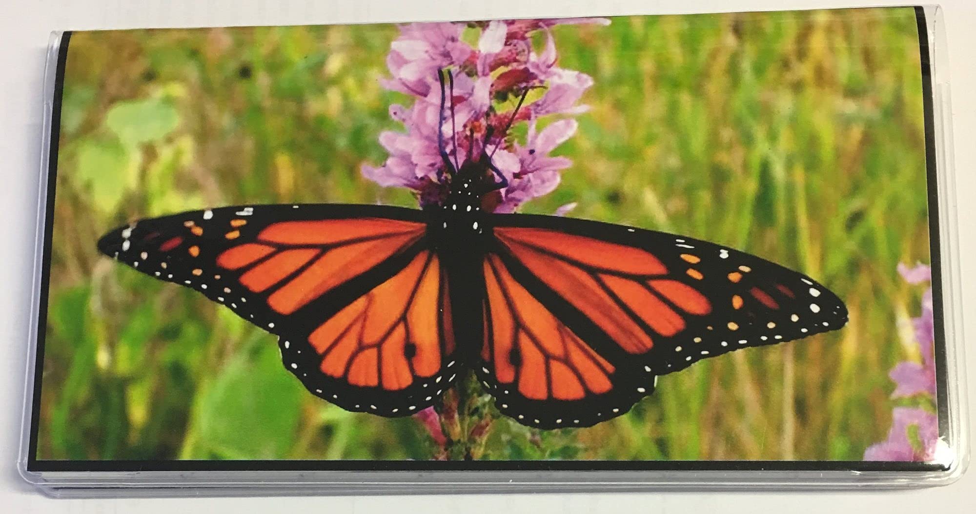 2023-2025 3-Year Pocket Calendar Planner with Notepad - Monarch Photo Design | Perfect for Organizing Schedules, Tracking Appointments & Taking Notes on the Go