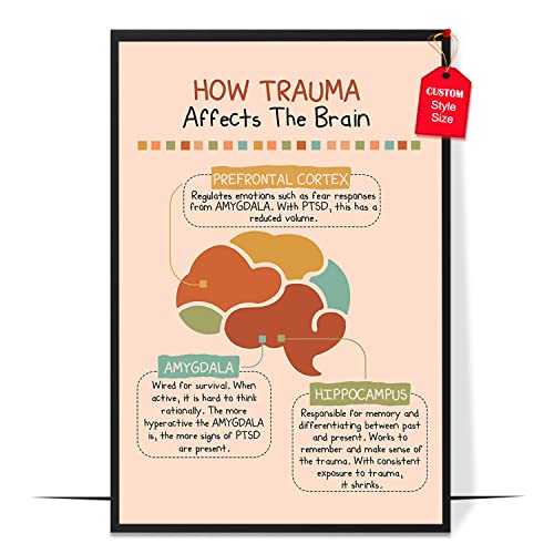 How Trauma Affects The Brains
