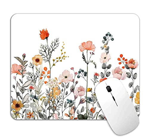 Colourful Wildflowers