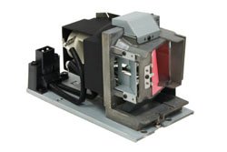 Optoma 5811118543-SOT Projector Lamp Bulb Replacement - High Precision OEM Part for Optoma Projectors | Perfect for Home Theater, Office Presentations & Classroom Projectors