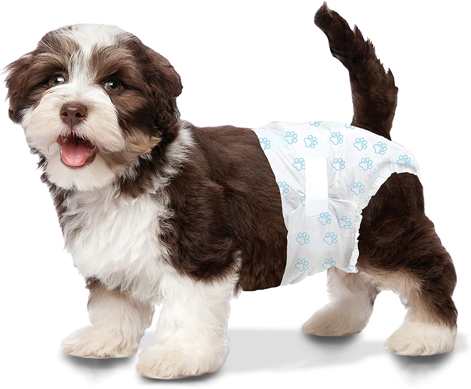 Wee Wee Premium Disposable Diapers - Ultra Absorbent Baby Diapers for Newborns & Toddlers - Soft, Leak-Proof, Hypoallergenic - Perfect for Daycare, Travel & Overnight Protection