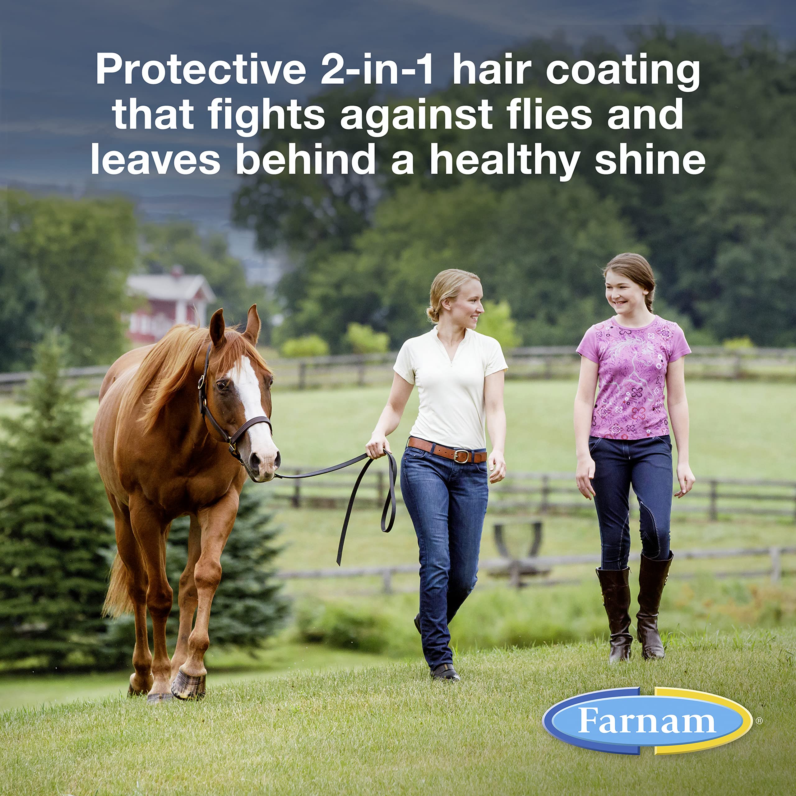 Farnam Bronco Gold Fly Spray for Horses | Gallon Refill (128 oz) | Fly Repellent, Grooming Aid & Coat Conditioner | Ideal for Stables, Barns & Outdoor Riding