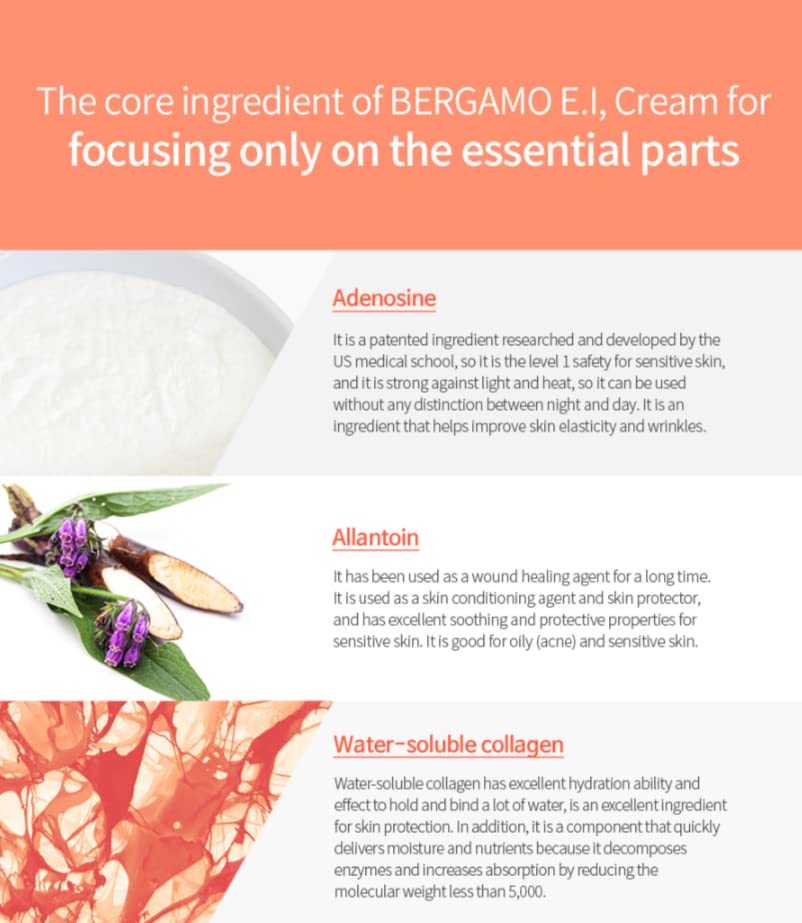 Bergamo Essential Intensive Collagen Cream 1.76oz/50ml - Korean Anti-Aging Moisturizer for Dry & Combination Skin | Wrinkle Reduction & Hydration | Day & Night Cream for Mature Skin | K-Beauty Skincare Made in Korea