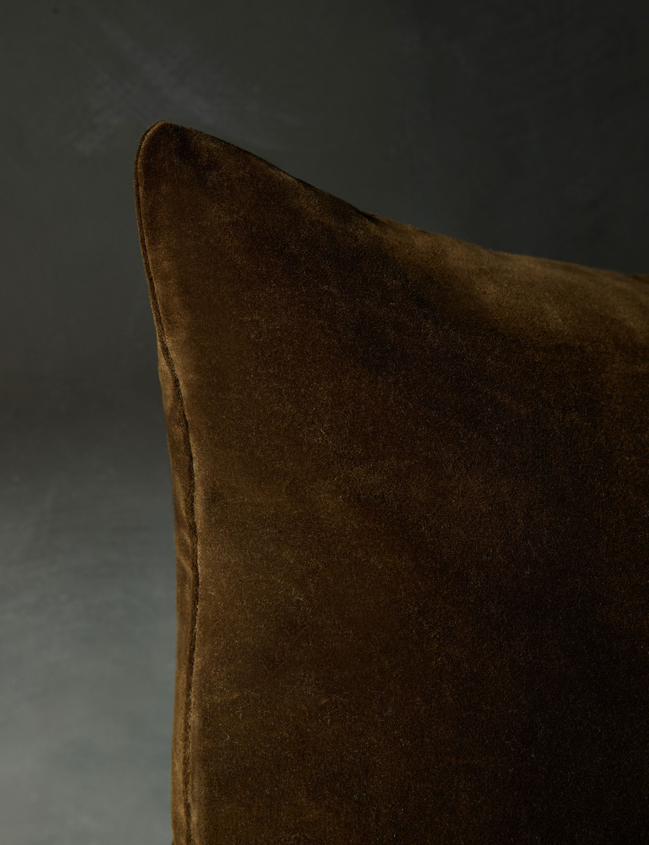 Luxury Velvet Pillow for Sofa & Bed - Soft Caddie Pillow for Home Decor, Living Room, Bedroom - Perfect for Relaxing, Reading & Enhancing Comfort