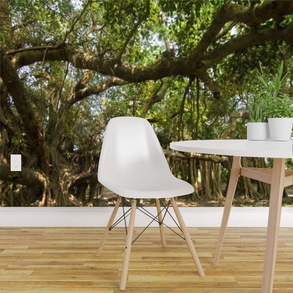Banyan Tree Peel and Stick Wallpaper - Self Adhesive Removable Vinyl Wall Mural for Home Decor | Large Wall Sticker, Shelf Paper | Perfect for Living Room, Bedroom & Nursery