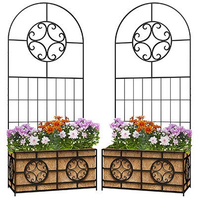 Panacea 84545 Wide Scroll Planter Trellises with Coco Liners, Black, 76