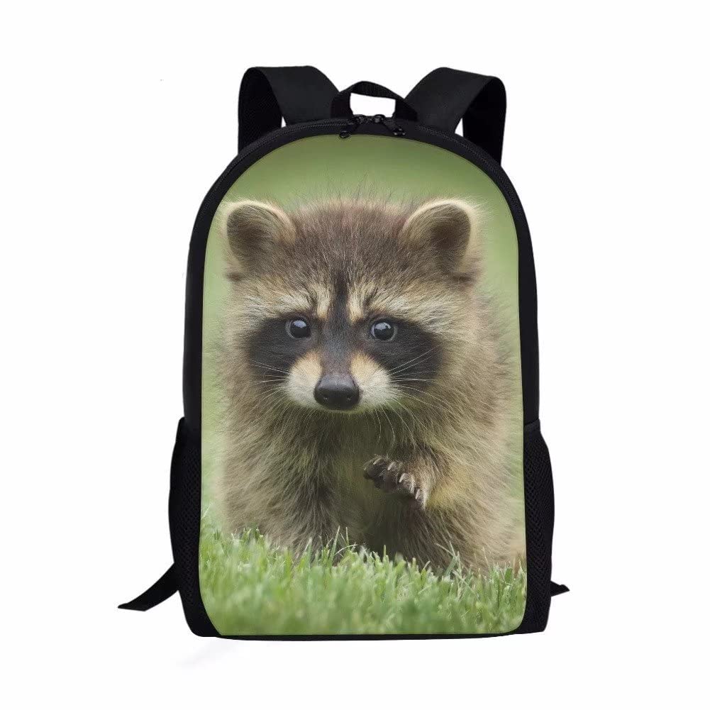 3D Animal Raccoon Backpack for Kids & Teens - Lightweight School Bookbag with Organizer, Cute Raccoon Satchel for Girls, Women & Diaper Bags - Perfect for School, Travel & Daily Use