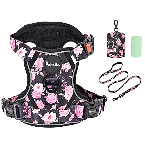 Black with Pink Rose