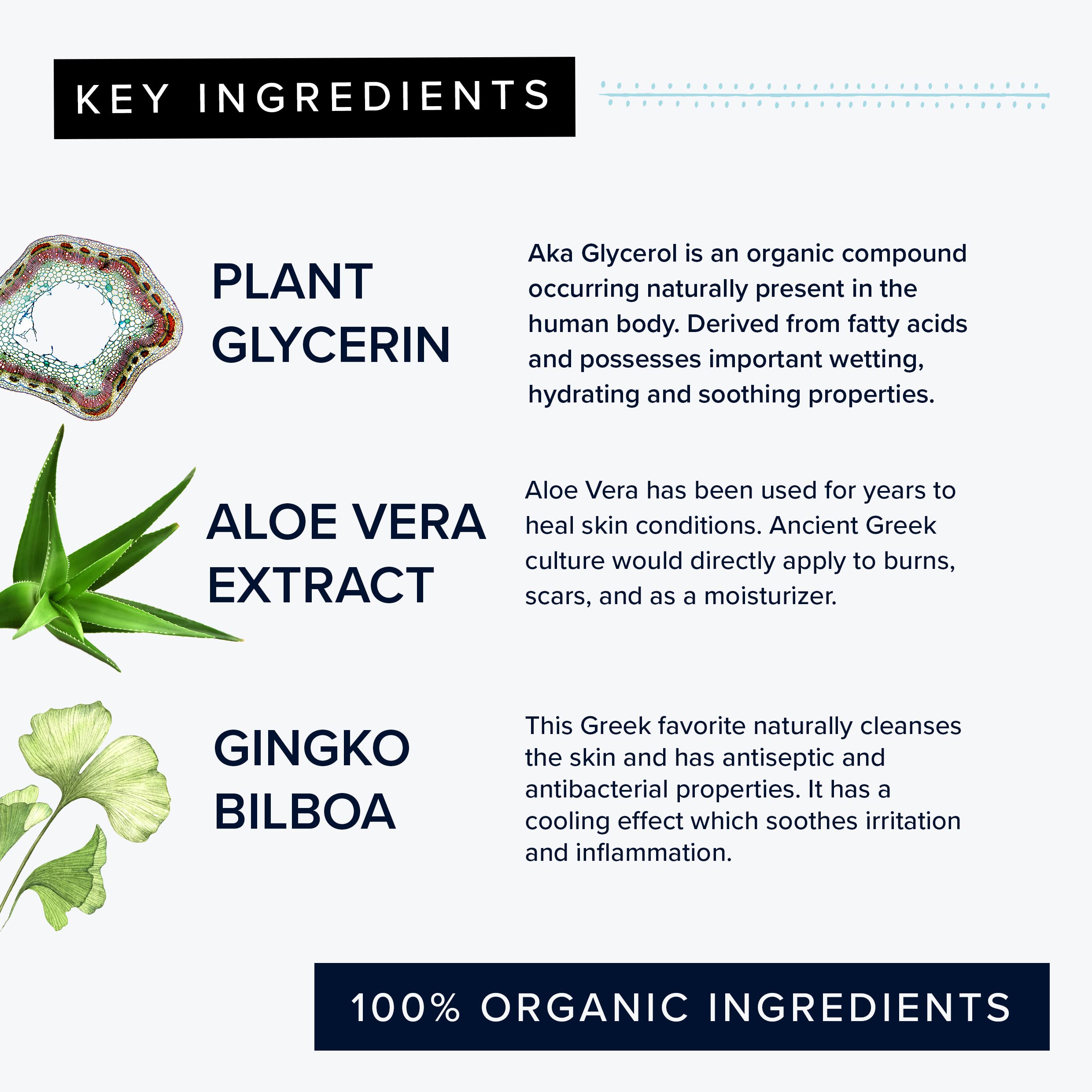 Best Plant Collagen Night Serum for Anti-Aging & Skin Rejuvenation - Hydrating Facial Treatment for Wrinkles & Fine Lines - Perfect for Nighttime Skincare Routine