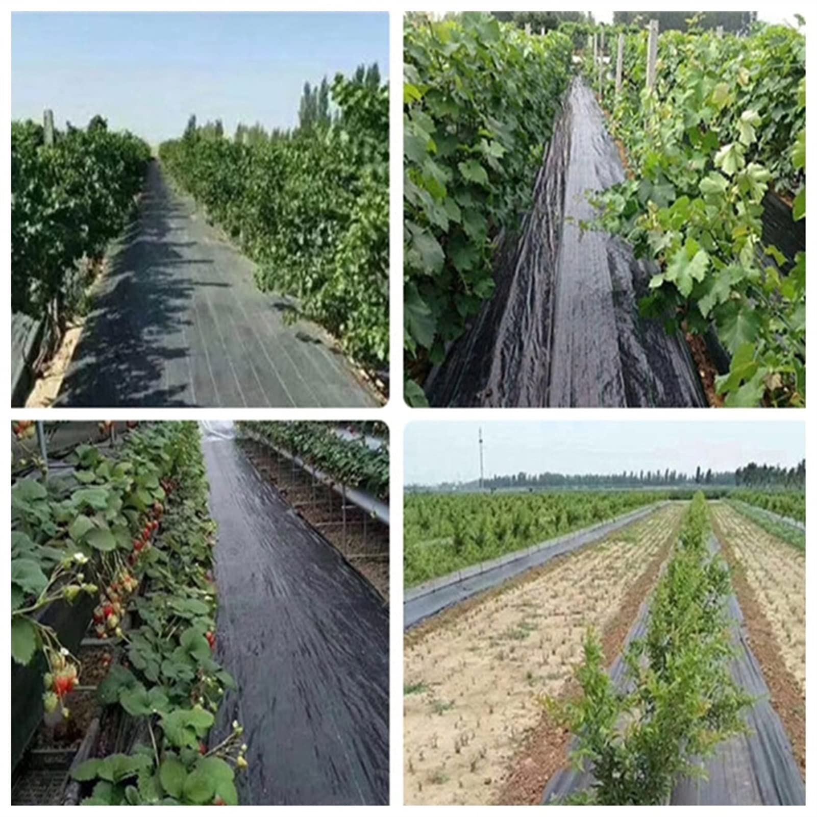 Premium Black Landscaping Fabric - Heavy Duty Weed Barrier for Lawn, Garden, Flower Beds & Driveways | Durable Ground Cover Mulch Fabric (1x3m) | Perfect for Weed Control, Soil Protection & Landscape Projects