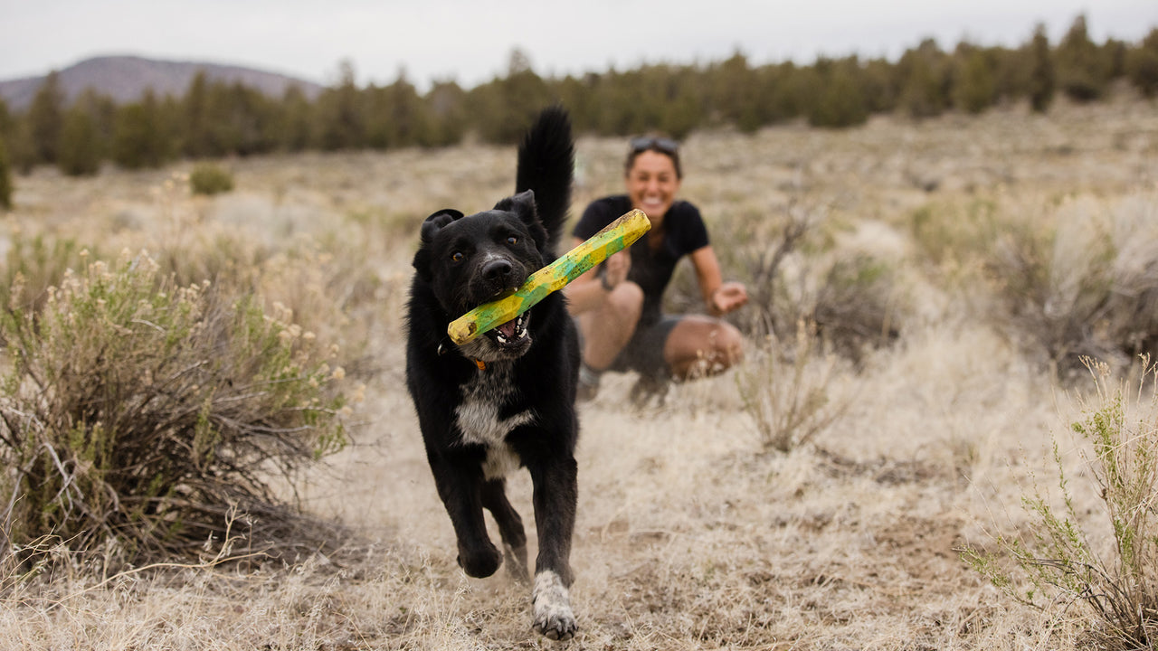 Ruffwear® Gnawt a Stick® Blue Pool Floating Dog Toy – Durable Chew & Fetch Toy for Water Play & Outdoor Adventures