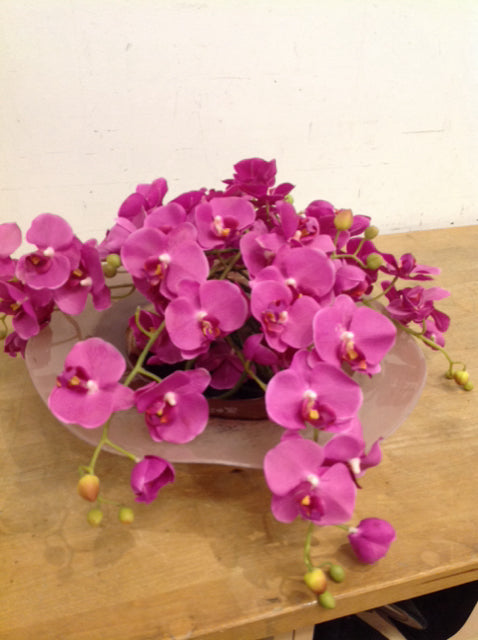 16 John Richard Pink Orchids - Artificial Silk Flowers for Home Decor, Wedding Centerpieces & Office Arrangements