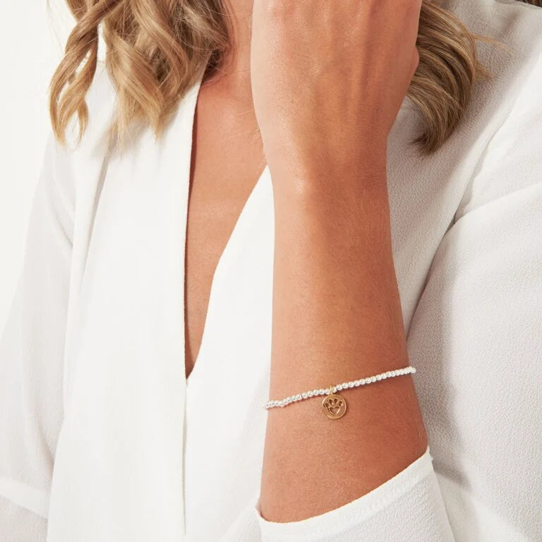 Joma Jewelry Bracelet - A Little Pawfect Dog Lover Gift for Women, Adjustable Pet Charm Bracelet for Casual Wear & Special Occasions
