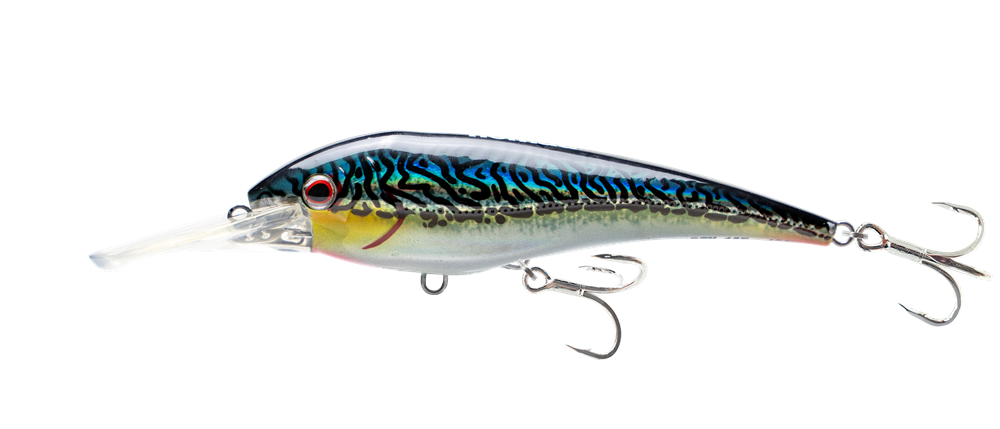Silver Green Mackerel