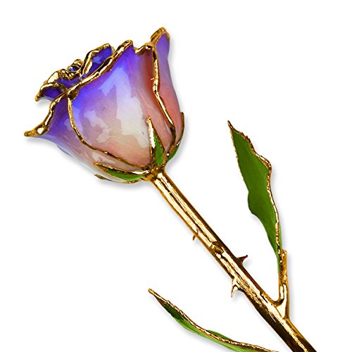 White & Blue Opal