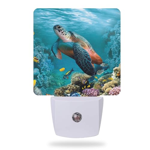 Sea Turtle Corals Fish