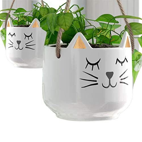 White Cat W Gold Ears, Hanging