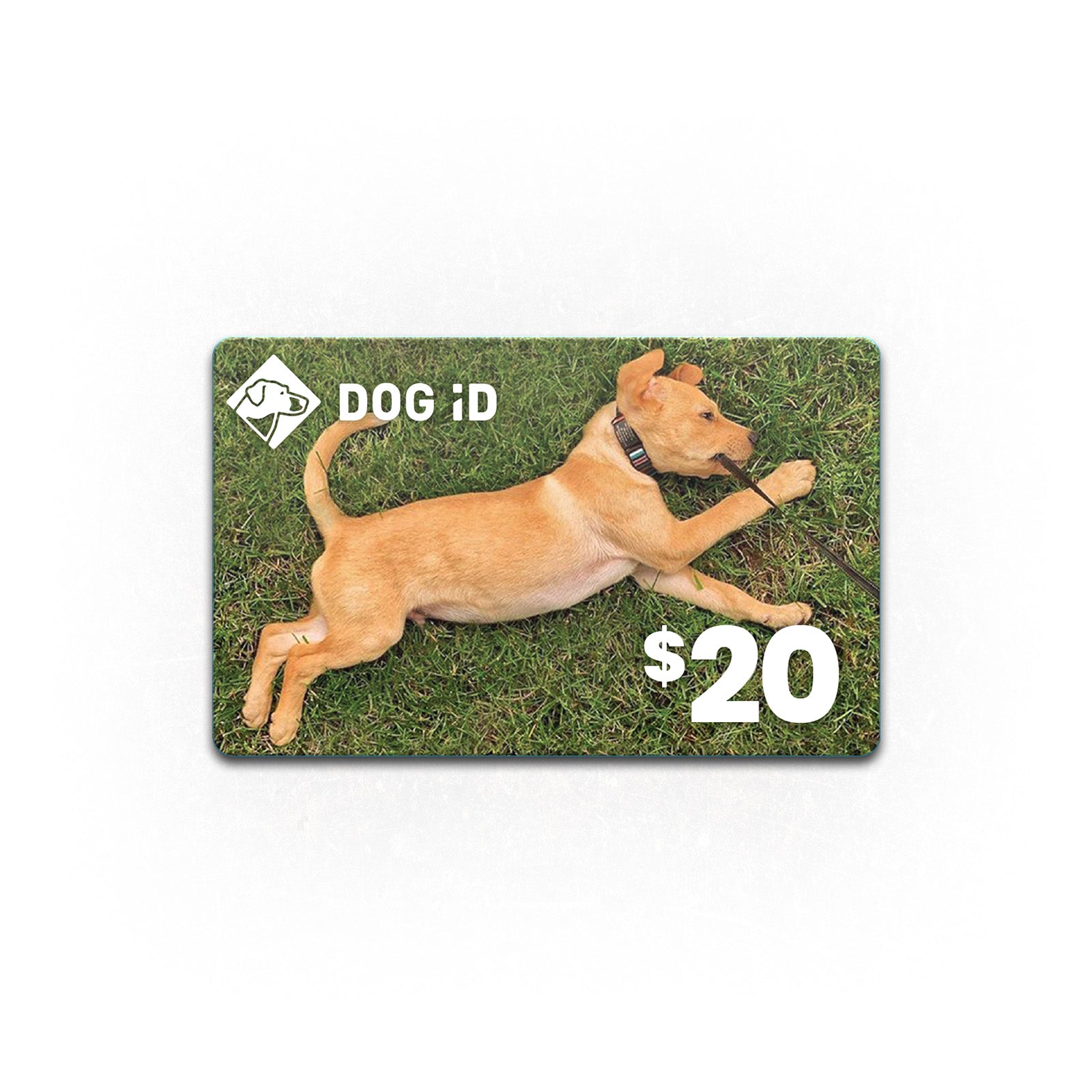 Best Gift Cards for Every Occasion - Birthday, Wedding, Anniversary & Holidays | Perfect for Gifting & Personal Use