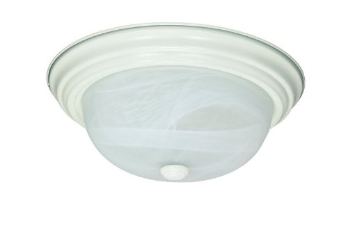 Energy Star Certified Transitional Flush Mount Ceiling Light - 5.375