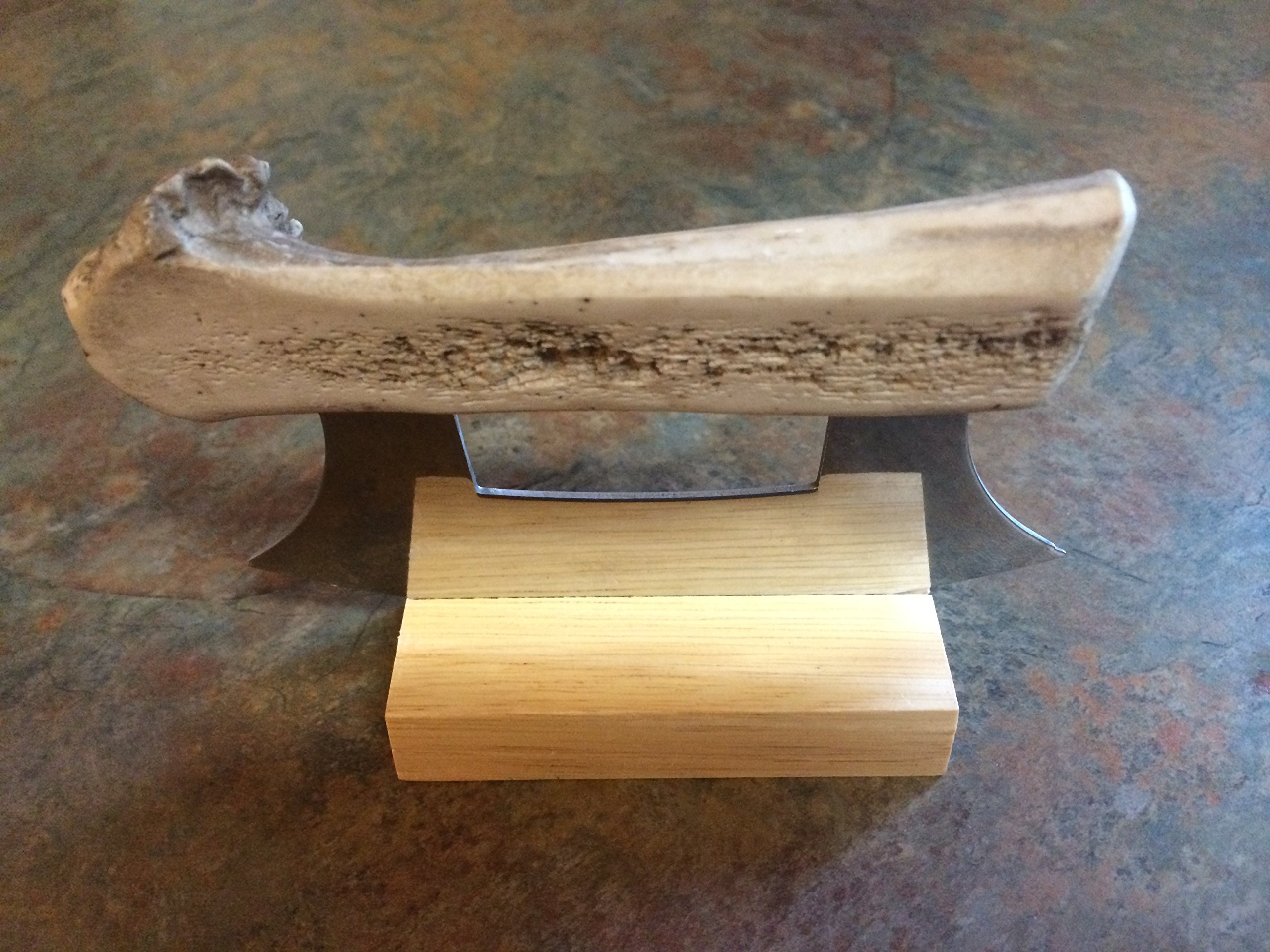 Premium Alaskan Cultured Antler Ulu Knife with Wooden Stand - Handcrafted Traditional Eskimo Cutting Tool for Kitchen, Camping & Outdoor Adventures