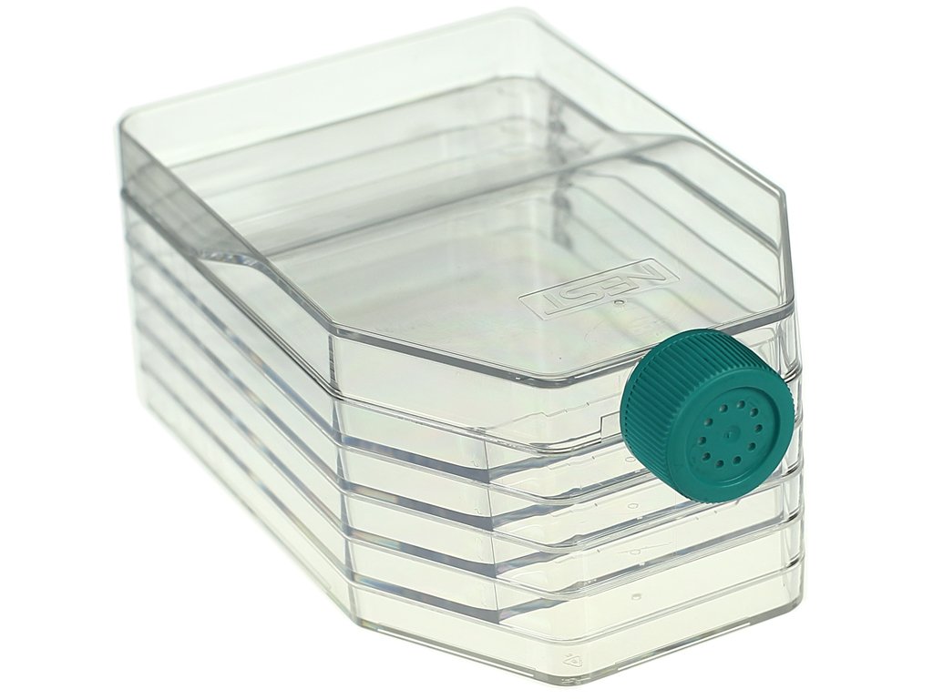5-Layer Polystyrene Cell Culture Flask with Vent Cap - Straight Neck, Tissue Culture Treated, Sterile, Clear - 1 per Pack (8 per Case) - Ideal for Laboratory Cell Growth, Biomedical Research & Tissue Culture Experiments