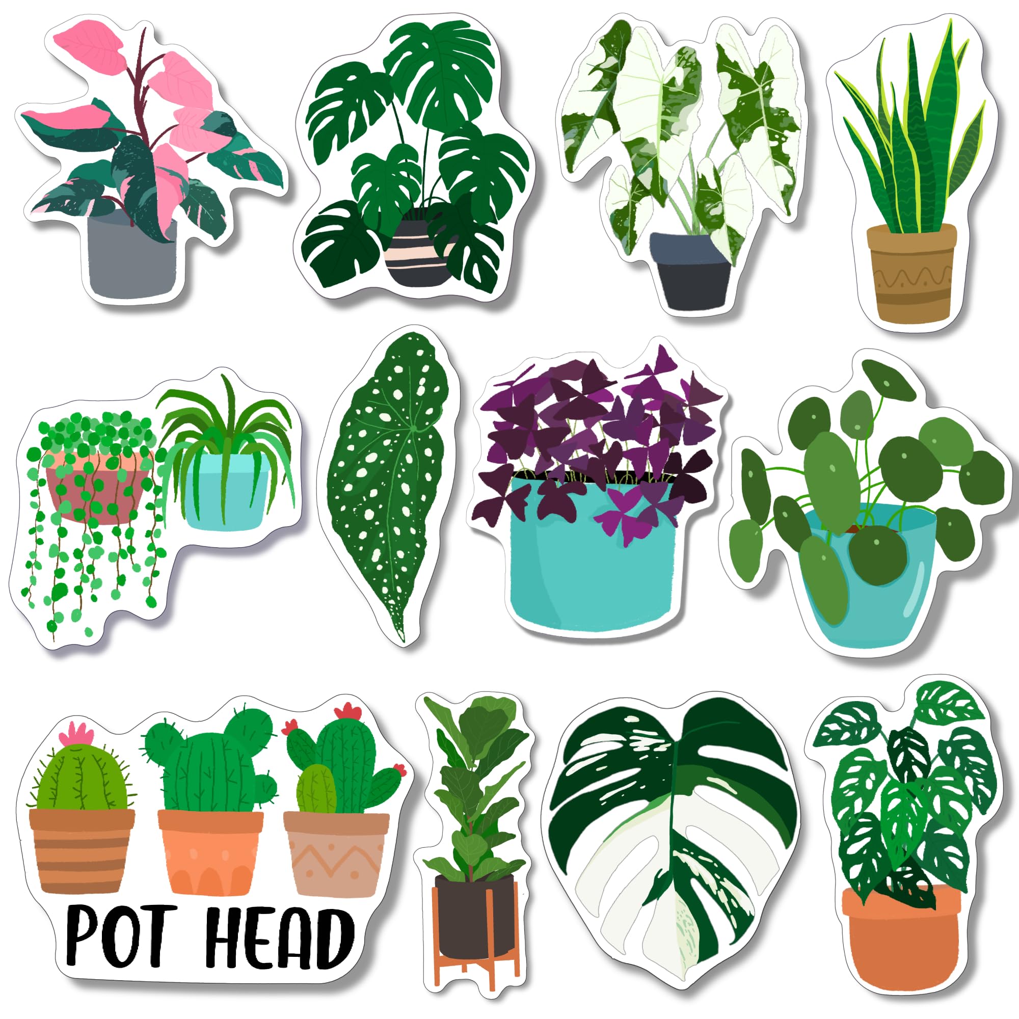 12 Pack Mini Potted Plant Magnets for Refrigerator - Monstera & Cactus Decorative Fridge Magnets for Kitchen, Office & Lockers | Cute Plant Lover Gifts for Women, Housewarming & Home Decor | Perfect for Adding Greenery to Metal Surfaces