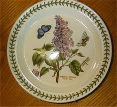 Portmeirion Botanic Garden 8 Inch Dinner Plates - Set of 4 for Elegant Dining, Tea Parties & Home Decor