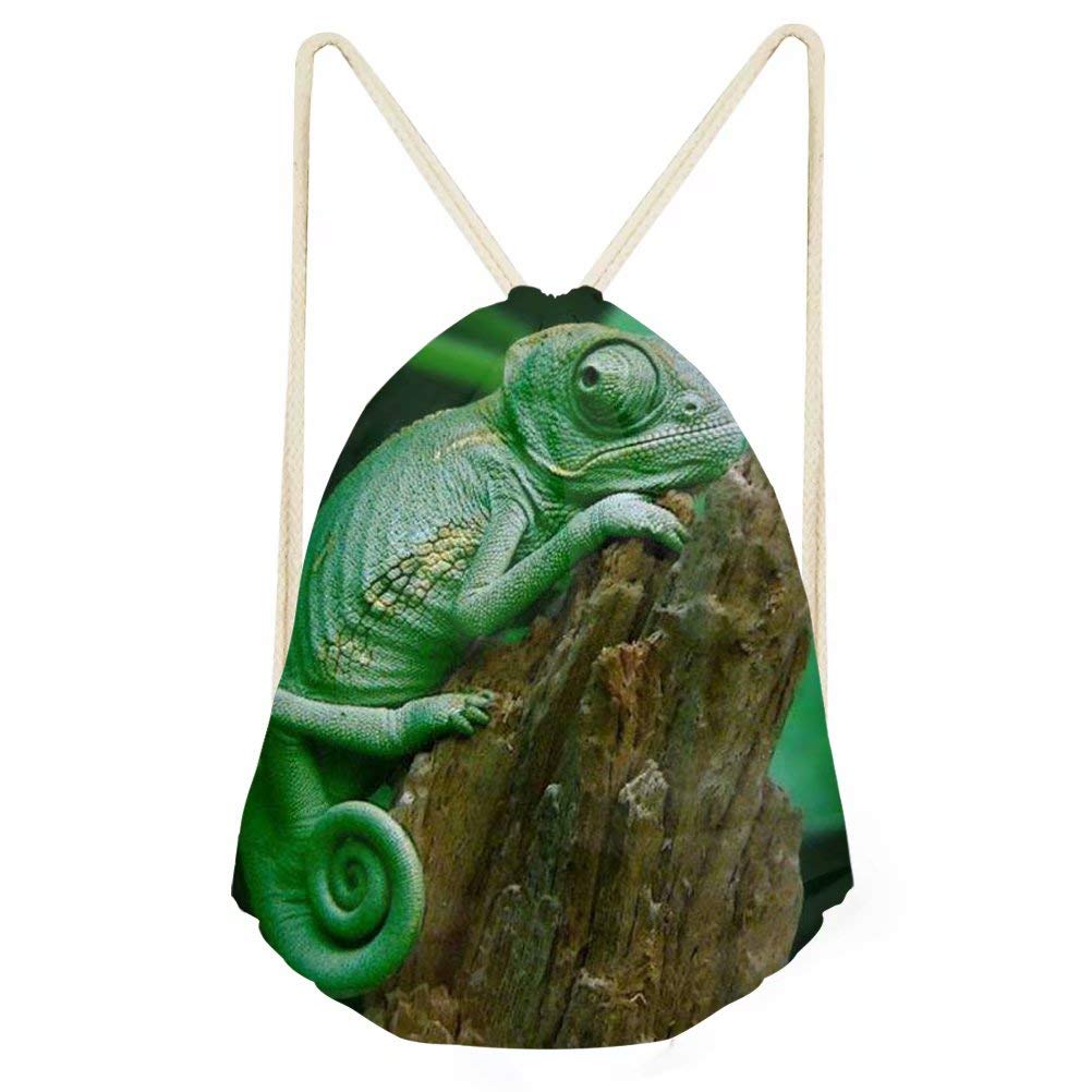 Chameleon Print Drawstring Backpack - Cute Animal Design for Kids Party, Sports Team & Gym - Lightweight & Durable Gift Bag for School, Travel & Outdoor Activities