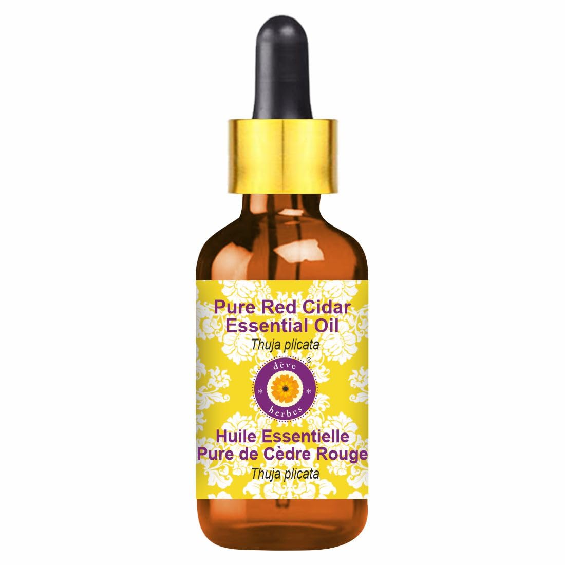 Pure Red Cedar Essential Oil (Thuja plicata) - 100% Natural Therapeutic Grade, Steam Distilled, 50ml (1.69 oz) with Glass Dropper - Aromatherapy, Diffuser, Massage & DIY Skincare