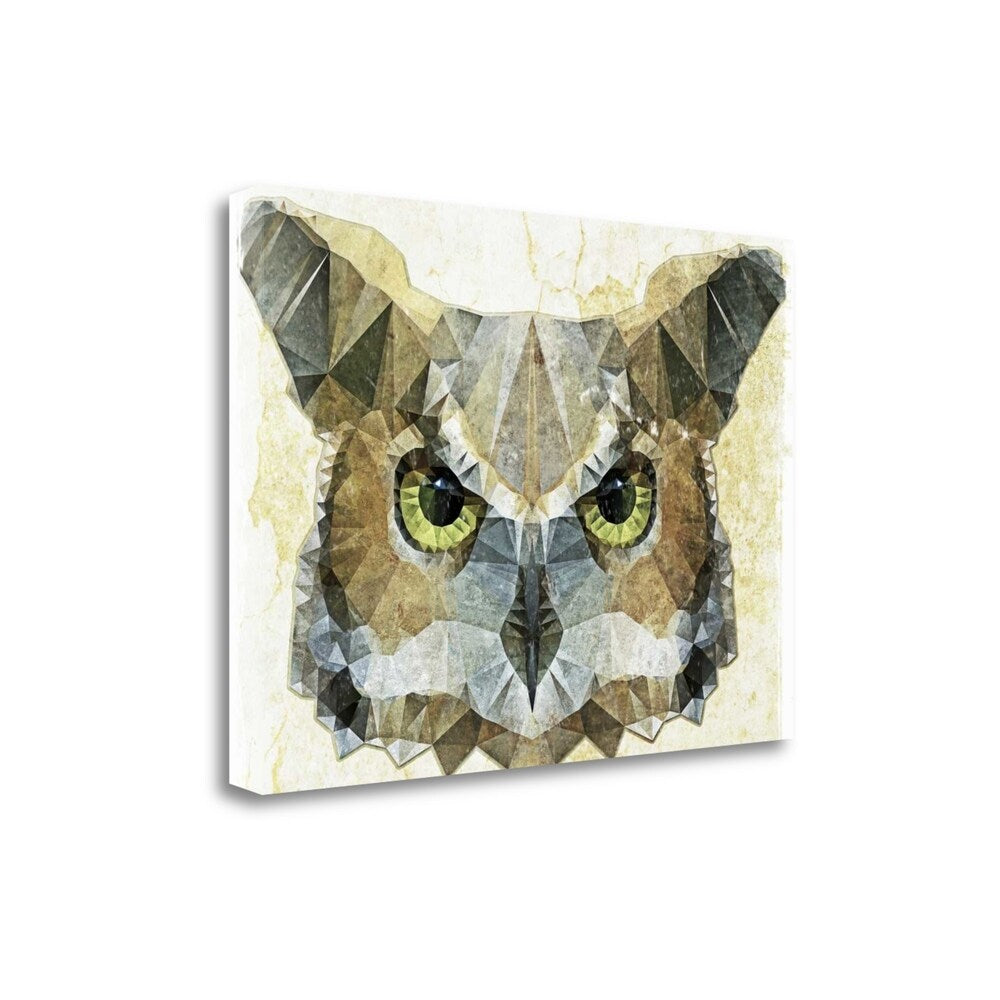 Abstract Owl Wall Art by Ancello - Premium Giclee Print on Gallery Wrapped Canvas, Ready to Hang - Perfect for Living Room, Bedroom & Office Decor