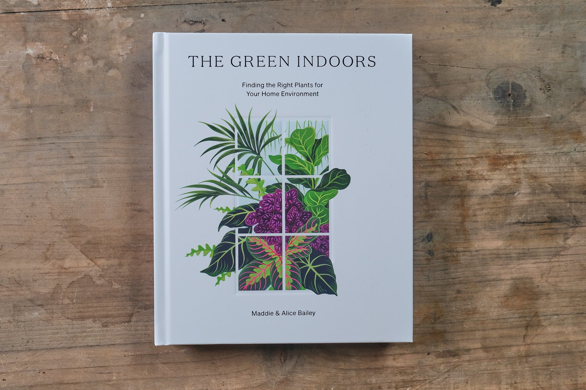 The Green Indoors Book - Indoor Gardening Guide for Beginners | Home Decor & Houseplant Care Tips | Perfect for Urban Dwellers & Plant Lovers
