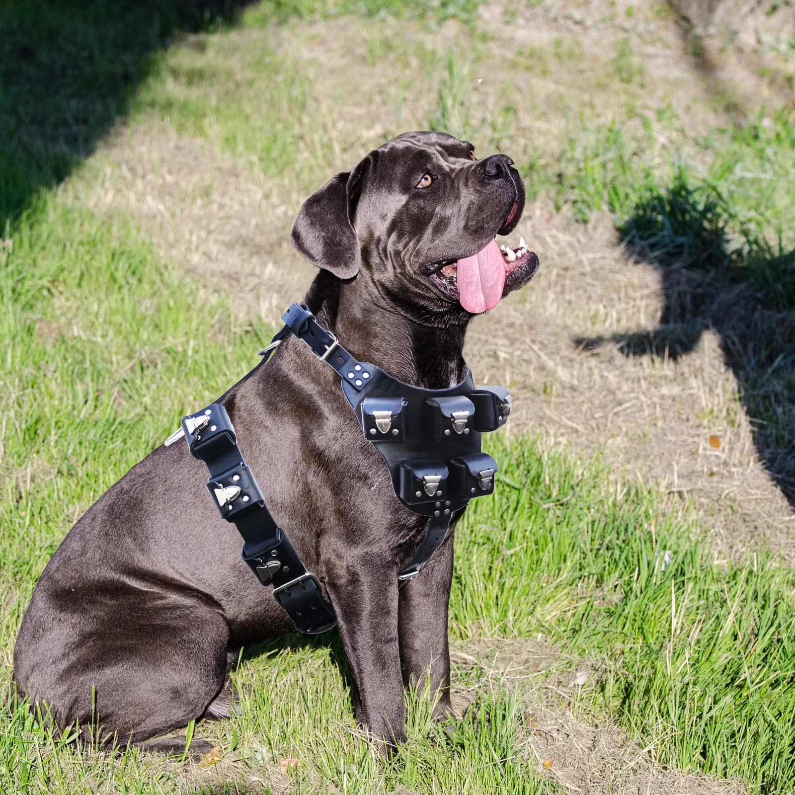 Weighted Dog Vest for Medium & Large Dogs - No Pull Leather Harness with Pockets for Muscle Building & Fitness Training | Perfect for Outdoor Hiking, Jogging and Canine Exercise