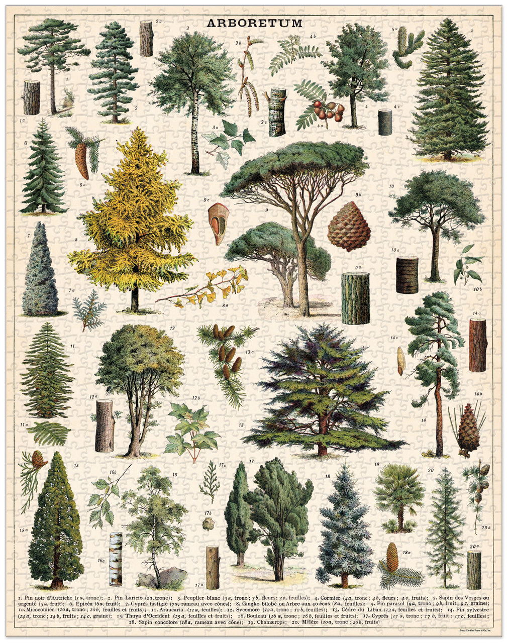 Arboretum 1000 Piece Jigsaw Puzzle for Adults - Beautiful Tree Landscape Puzzle Game for Family Night & Relaxation