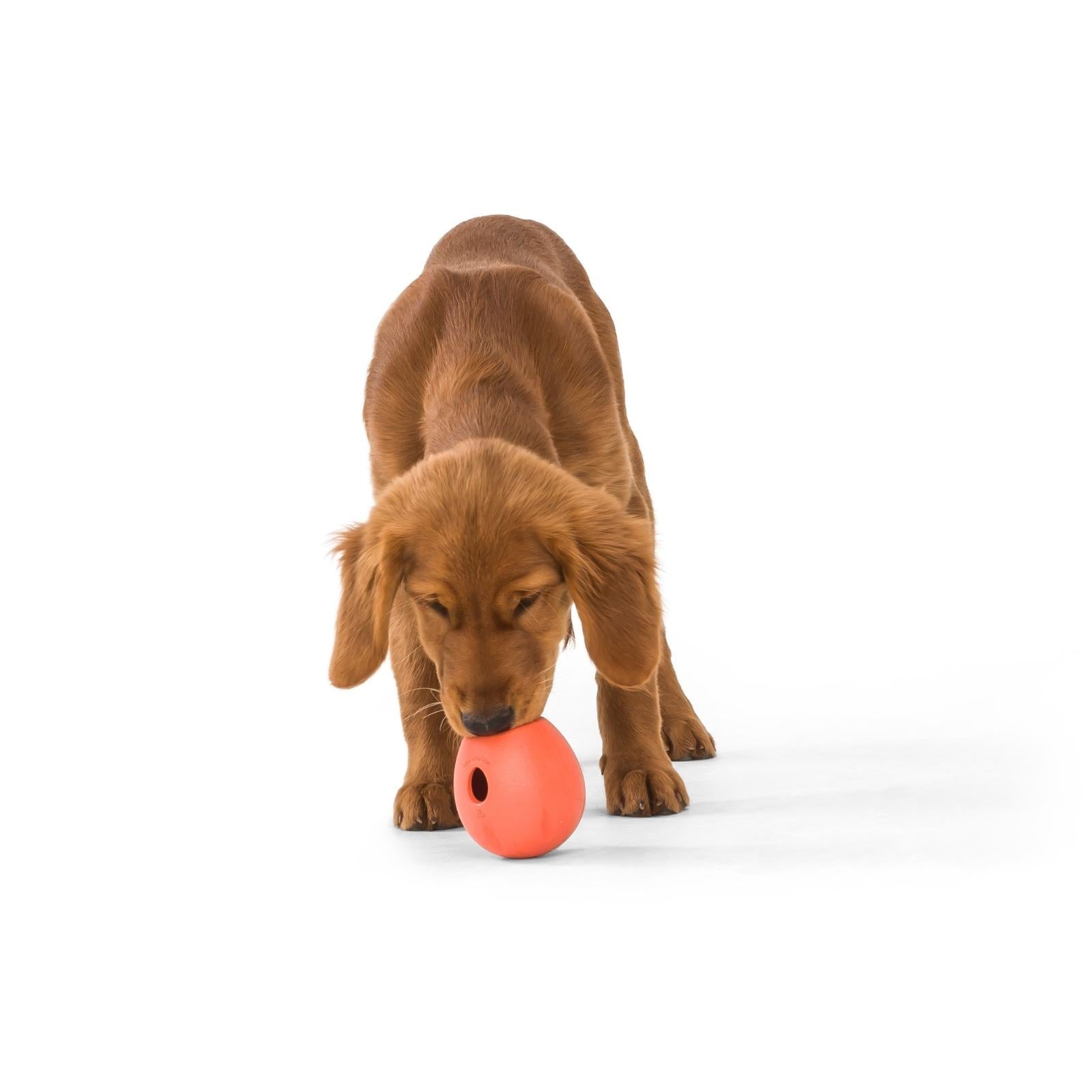 West Paw® Green RUMBL Treat Dispenser Dog Toy - Interactive Puzzle Feeder for Mental Stimulation & Slow Feeding - Perfect for Small, Medium & Large Dogs