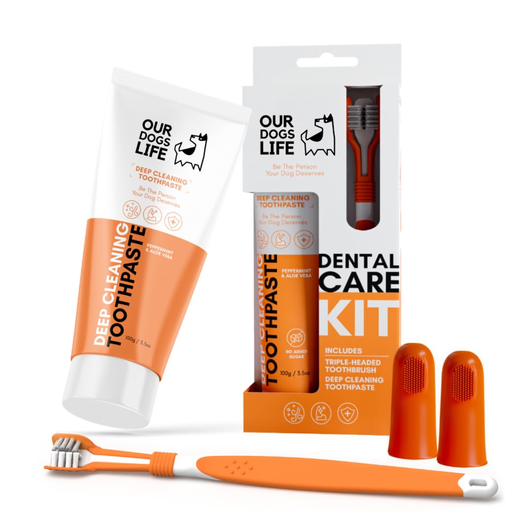 **Triple-Headed Dog Toothbrush & 100% Natural Toothpaste Set – Vet-Approved Dental Kit for Deep Cleaning, Freshens Breath & Removes Plaque – Perfect for Daily Dog Oral Care at Home**