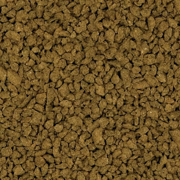 Fluval Bug Bites Sinking Granules - Bottom Feeder Fish Food for Tropical & Goldfish (45g) | Ideal for Aquariums, Fish Tanks & Pond Feeding