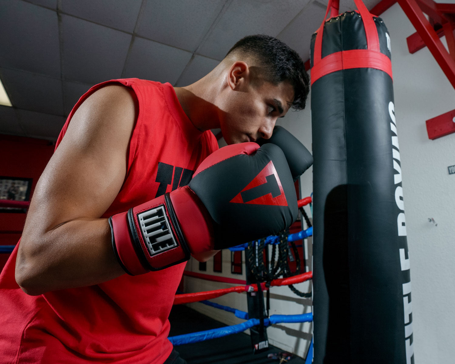 TITLE Boxing Guts and Glory Bag Boxing Gloves - Premium Training Gloves for Boxing, MMA & Kickboxing - Ideal for Gym Workouts, Sparring & Heavy Bag Training