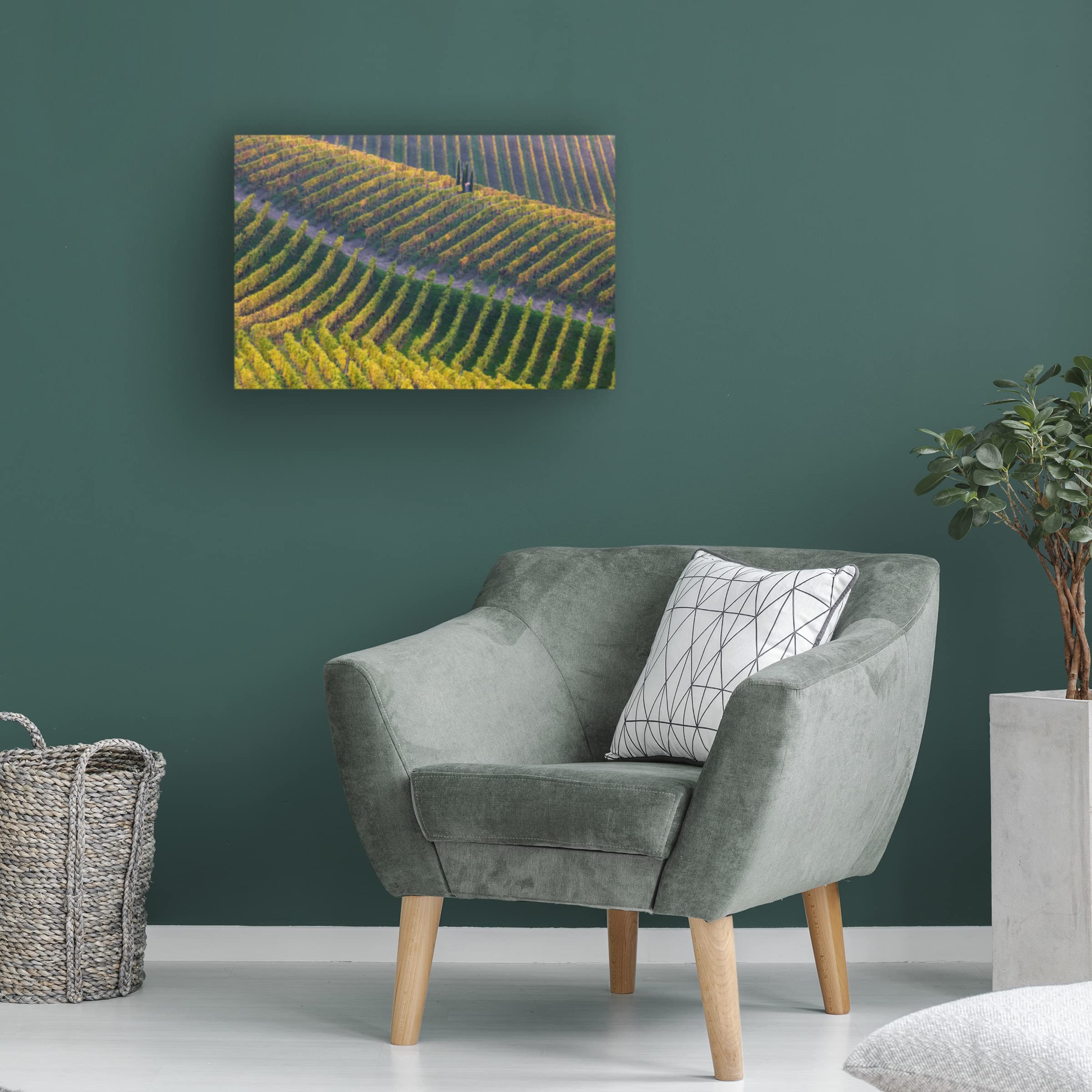Vineyards by Fiorenzo Carozzi - Premium Canvas Wall Art for Home & Office Decor | Trademark Fine Art Collection | Perfect for Living Room, Bedroom & Dining Room
