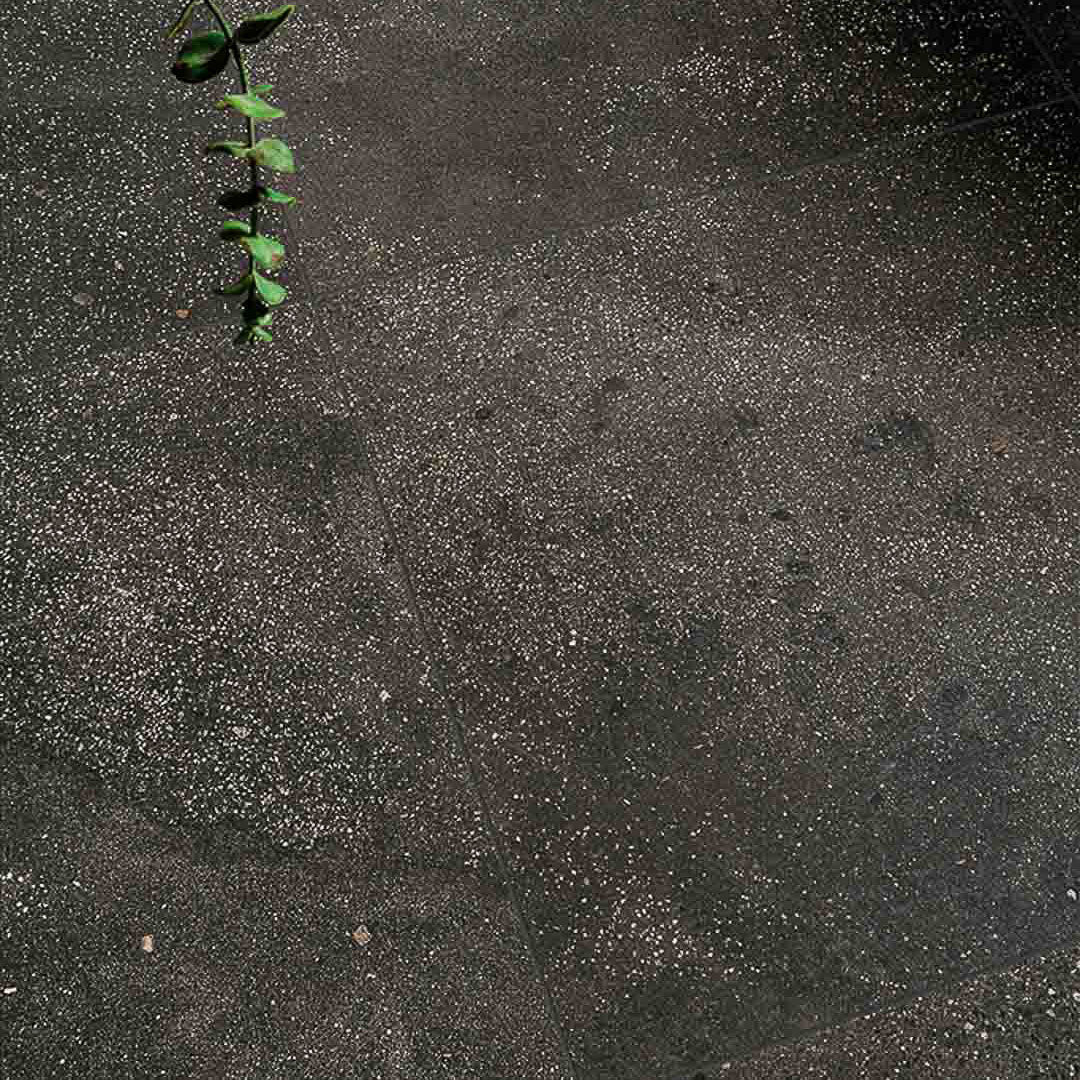 Premium Cocci Terrazzo Porcelain Tiles - Durable & Stylish Flooring for Orange County Homes | Perfect for Kitchens, Bathrooms & Outdoor Patios